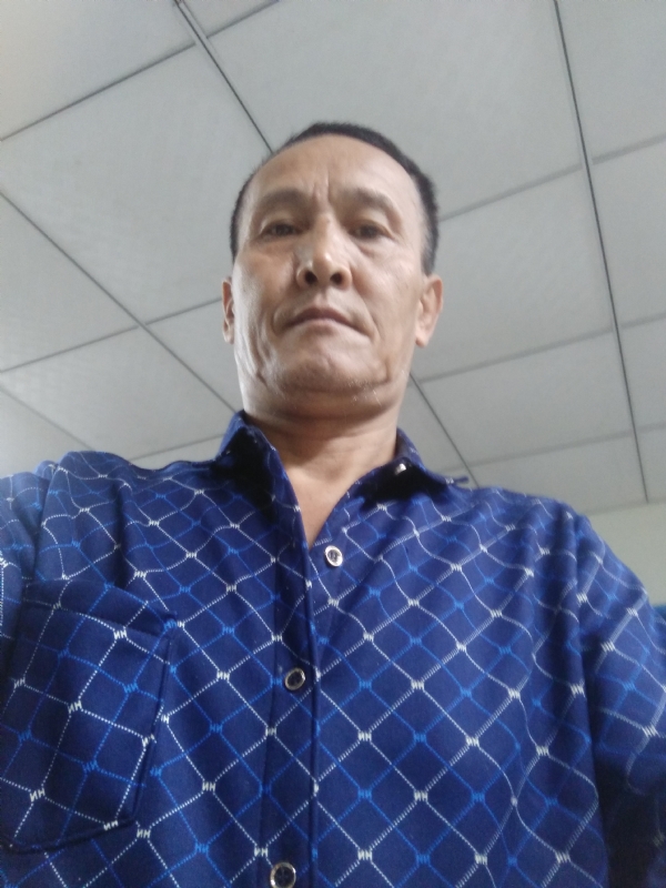 老树的第二张照片--惠安婚介网