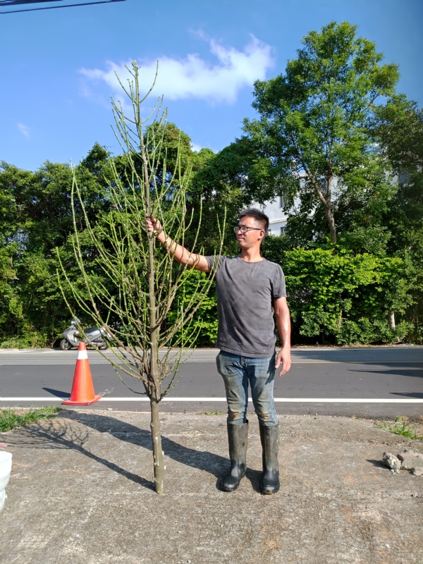 jeff的第二张照片--惠安婚介网