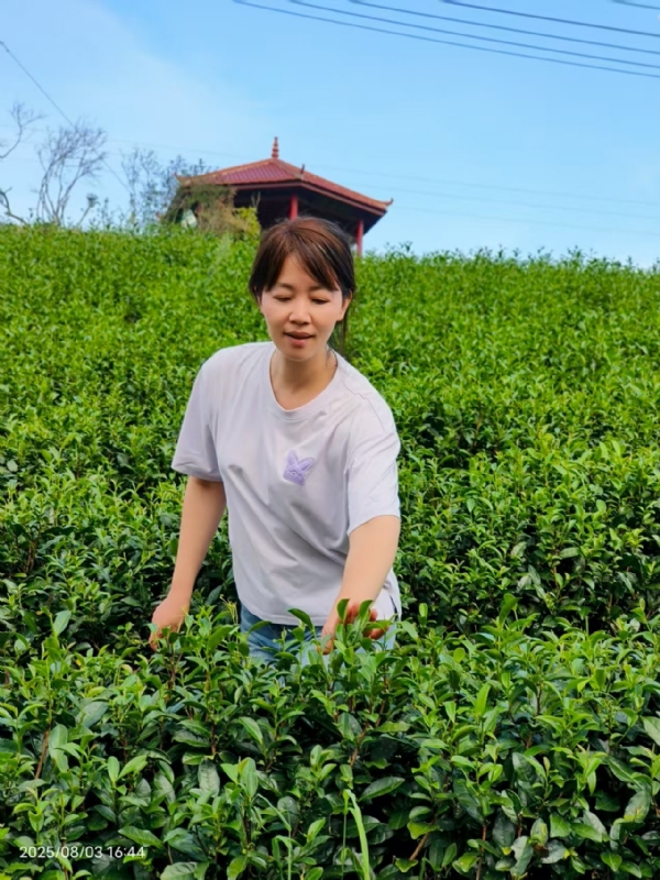 Q绮芳的第一张照片--惠安婚介网